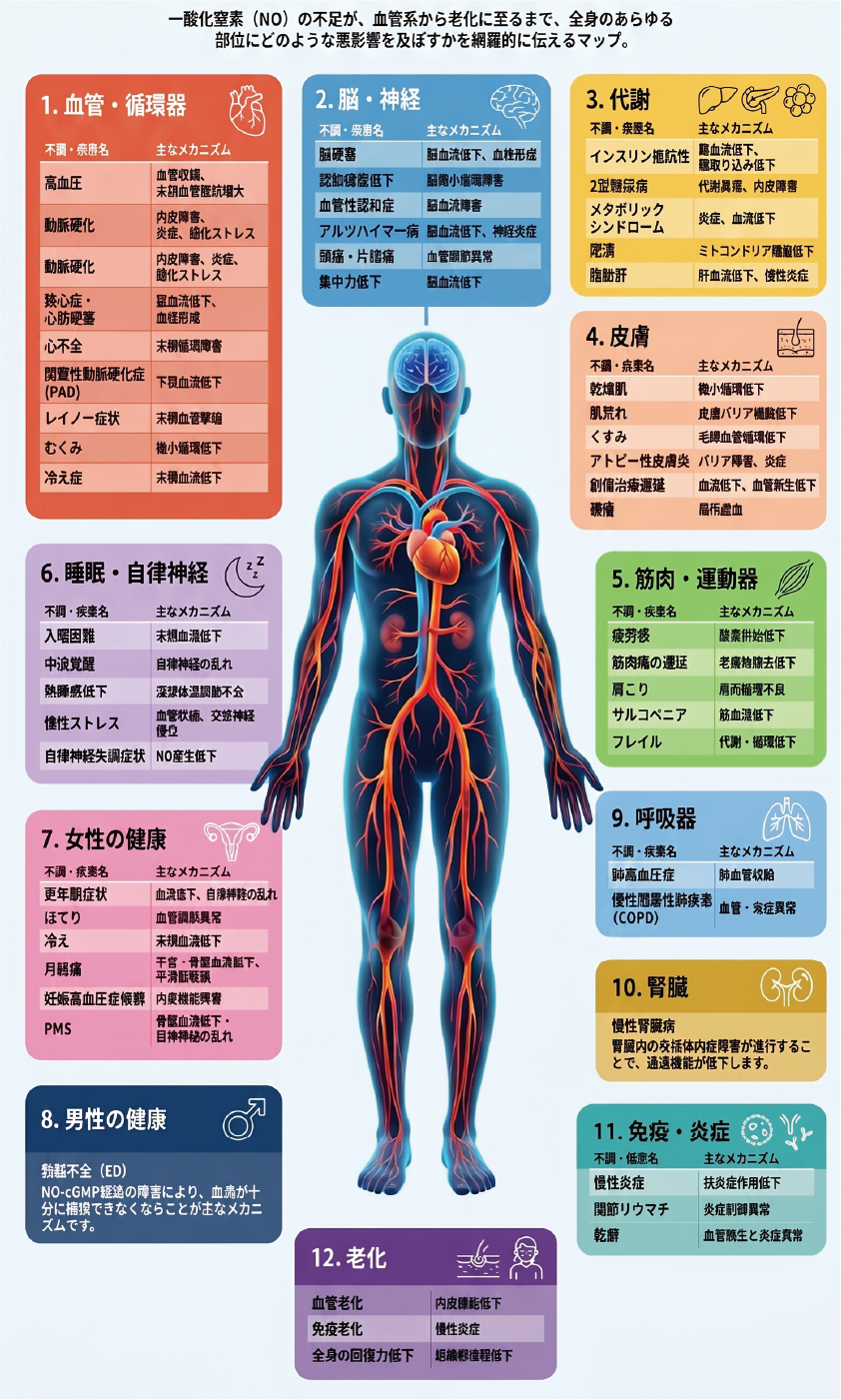 NO（一酸化窒素）不足が引き起こす全身の疾患・不調マップ