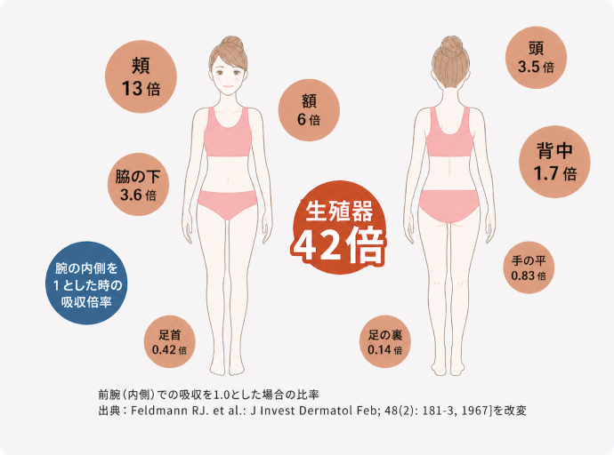 驚きの「経皮吸収率」