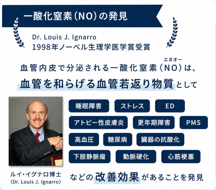 一酸化窒素(NO)の発見