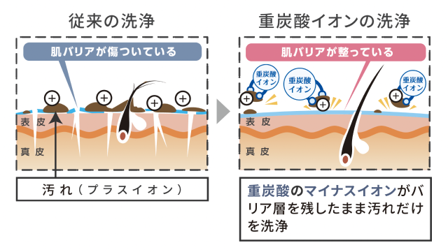自然由来の重曹・クエン酸が引き出す重炭酸イオンの力